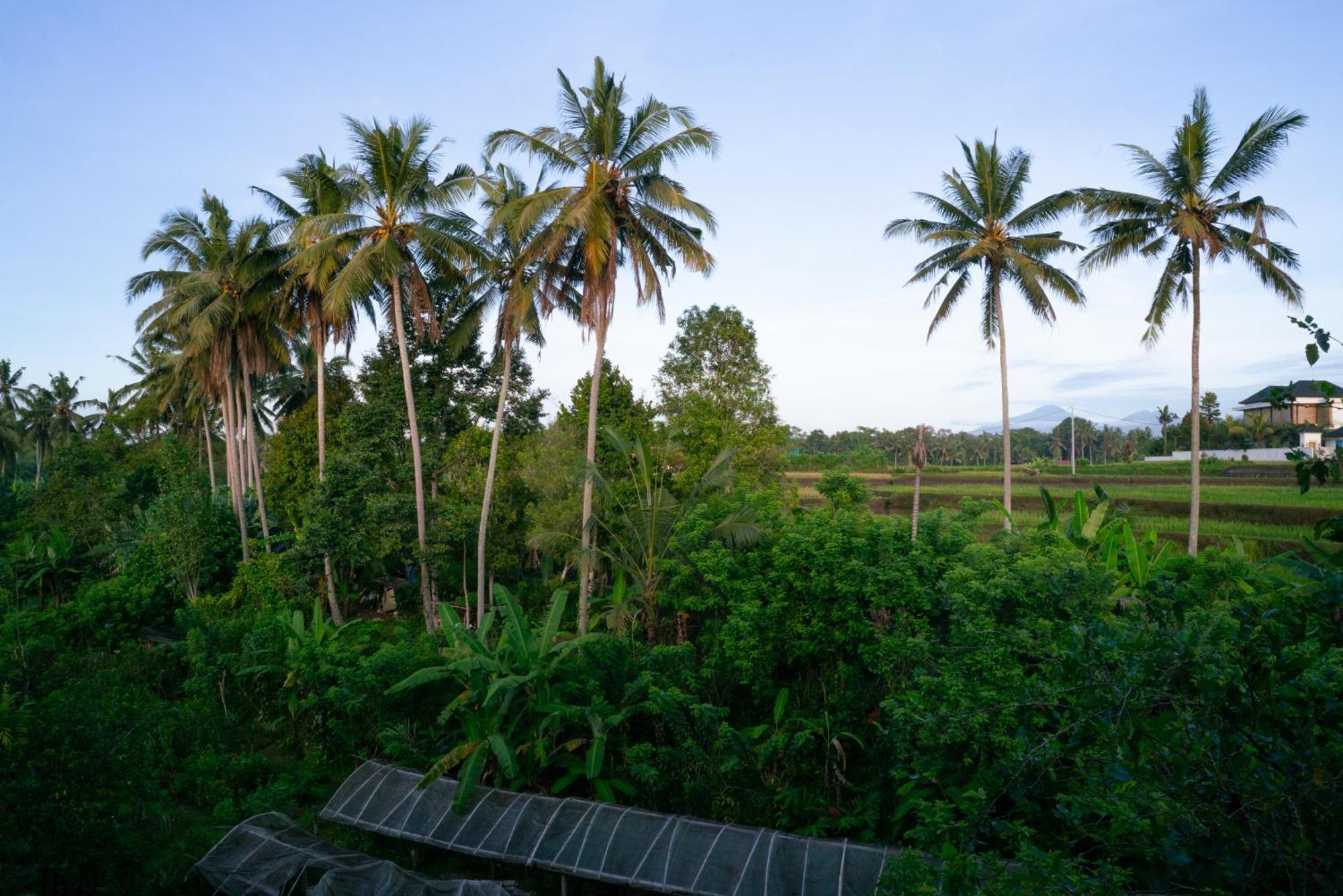 Karang Lila Bhuana Ubud Buitenkant foto